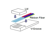 什么是光纖陣列FA（Fiber Array）？