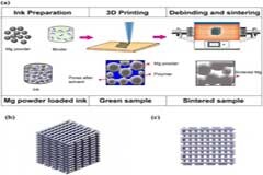 骨缺損的希望：3D打印的可生物降解鎂支架