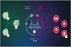 Matter 世界中意義非凡的橋接設備