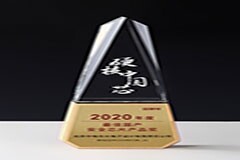 安全芯片領(lǐng)導(dǎo)者－華大電子榮膺“2020年度最佳國產(chǎn)安全芯片產(chǎn)品獎(jiǎng)”