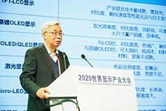 歐陽鐘燦院士：液晶顯示不會被取代，中國OLED將后來居上