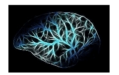 人類疾病研究3D將會發揮什么作用