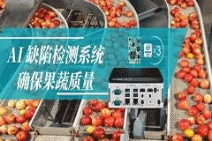 AI 缺陷檢測(cè)系統(tǒng)，確保果蔬質(zhì)量