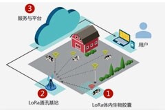 在那科技基于LoRa 打造無界位置管理系統和智能體內生物膠囊