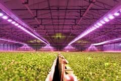 艾邁斯歐司朗與Energous攜手開發無線供電多光譜傳感解決方案，助力農業傳感應用
