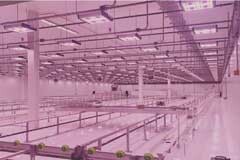 艾邁斯歐司朗OSLON 植物照明先進技術，助力Revolution Microelectronics點亮未來農業