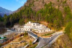 陜西佛坪建成HPBC電站 隆基綠能用光伏科技助力大熊貓零碳生活