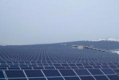 歐盟對隆基綠能、上海電氣在羅馬尼亞光伏投標項目啟動調查