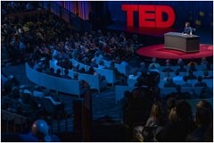 繪王宣布與TED 2024大會建立實物合作關系