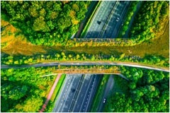 AI如何賦能可持續(xù)發(fā)展？IBM 最新調研揭秘現(xiàn)狀：企業(yè)投資熱情不減，但行動尚未跟上