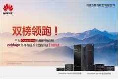 雙榜領跑！華為位居Coldago Research 2024《文件存儲報告》和《對象存儲報告》「領導者」象限