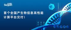 首個(gè)全國(guó)產(chǎn)生物信息高性能計(jì)算平臺(tái)交付，填補(bǔ)領(lǐng)域空白