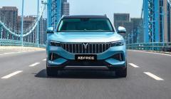 嵐圖汽車接盤東風日產武漢工廠，預計新增產能30萬輛/年