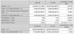 立訊精密：上半年營收 1245.03 億元同比增長 20.18%，凈利潤 66.44 億元