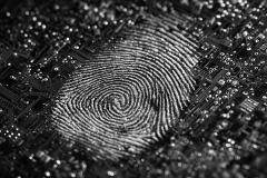 將觸感轉(zhuǎn)化為真實(shí)體驗(yàn)：TITAN Haptics以科學(xué)精度賦能觸覺(jué)設(shè)計(jì)