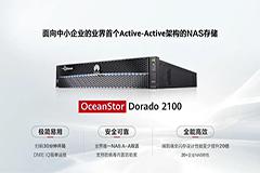 I׿AƳСIȫW NAS 惦 OceanStor Dorado 2100
