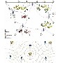 基于傳感技術的智能監獄人員定位系統方案