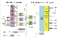 [原創] IRMCF343：高性能1500W馬達控制方案